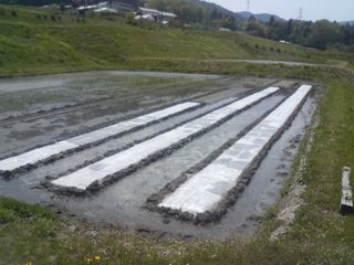 SA3B0016.JPG